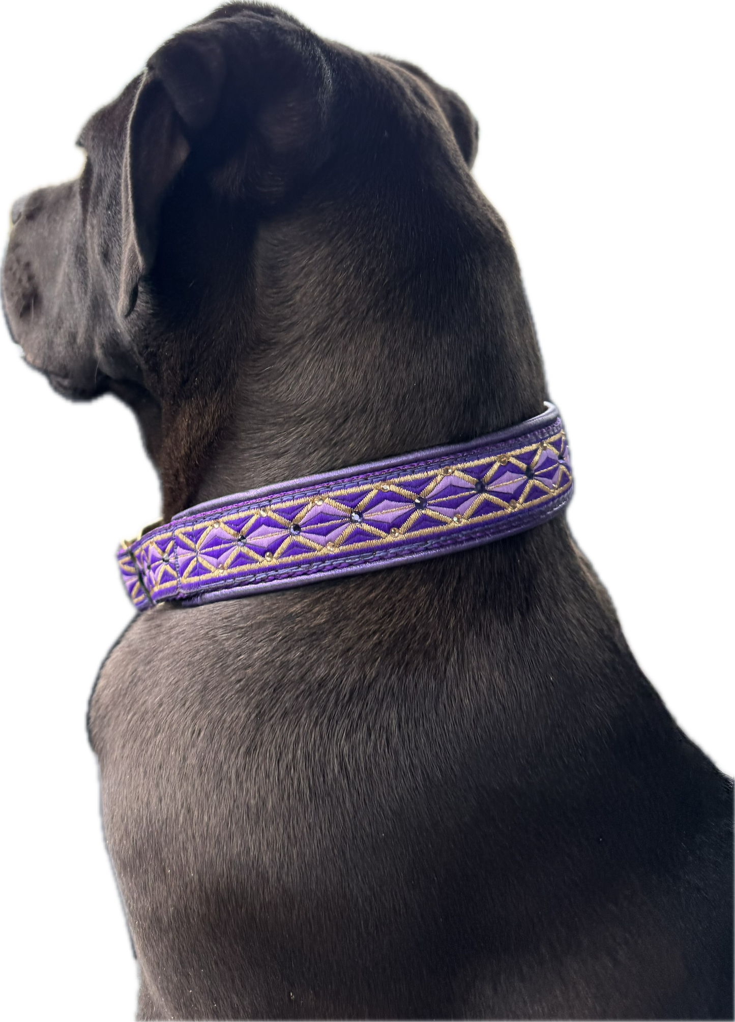 1" Purple Diamonds Luxe Limited Slip Collar