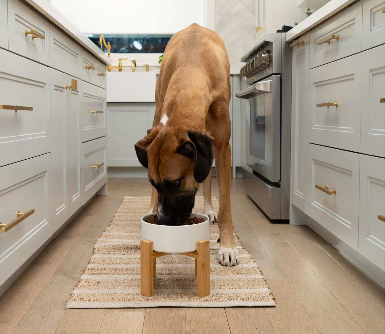 Goodbowl™ Beef & Brown Rice Dog Kibble