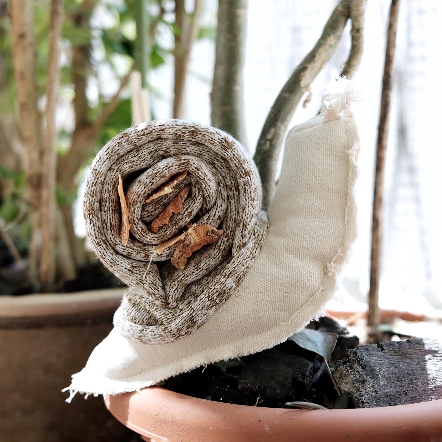 Lambwolf Snail | Snuffle Squeaky Toy