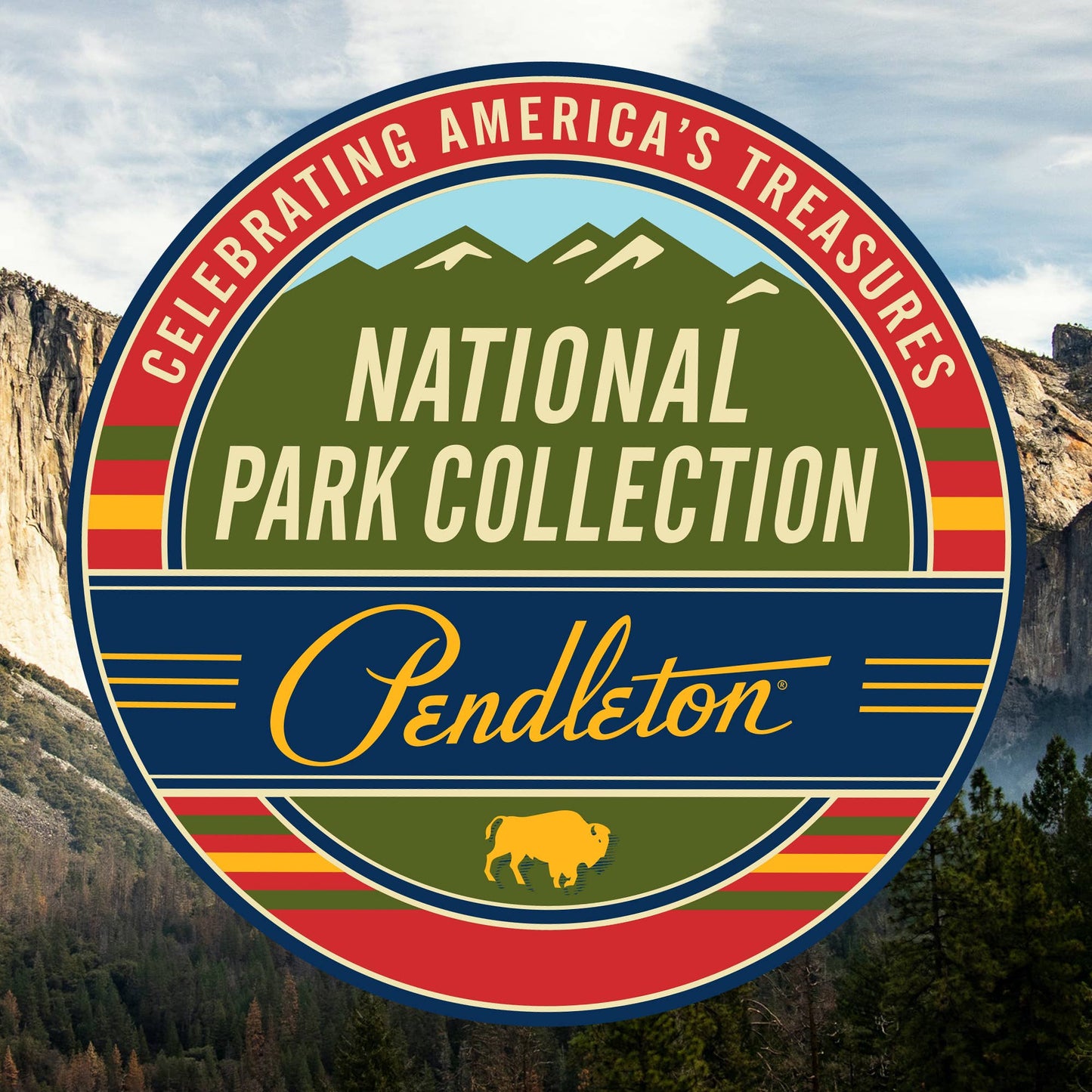 Pendleton Pet National Park Comfort Cushion Padded Dog Bed