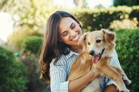 Steps to Successful Dog Ownership