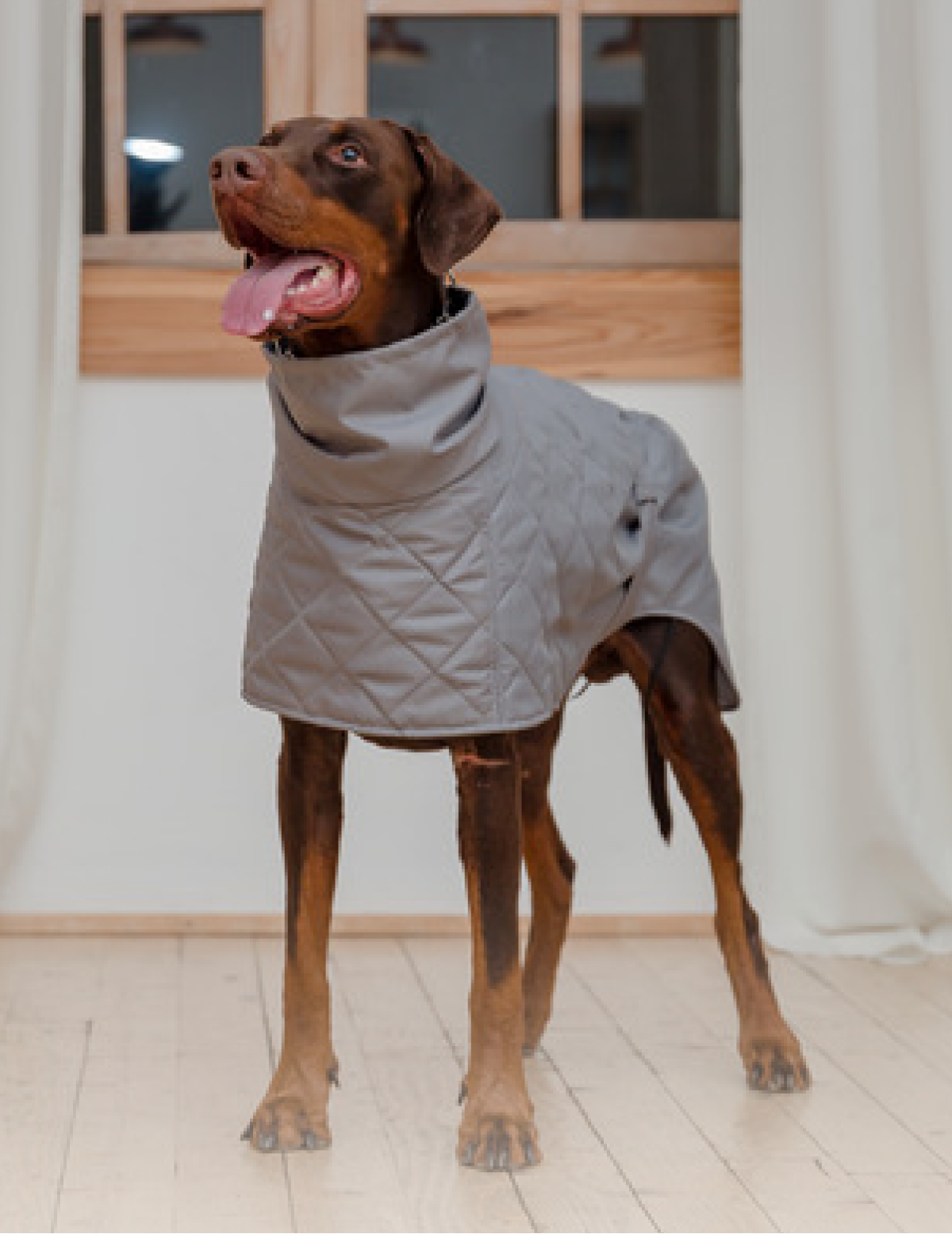 Clothing & Accessories