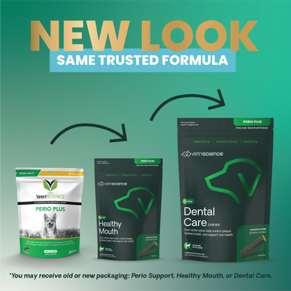 VetriScience Healthy Mouth Sticks