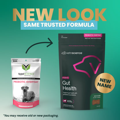VetriScience Gut Health Chews
