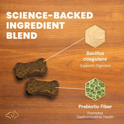 VetriScience Gut Health Chews