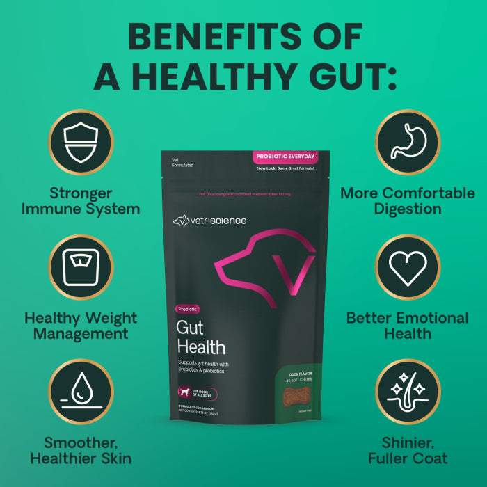 VetriScience Gut Health Chews