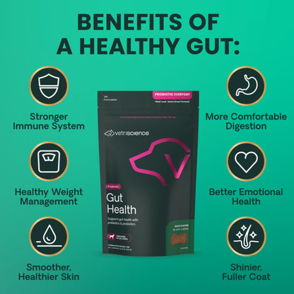VetriScience Gut Health Chews