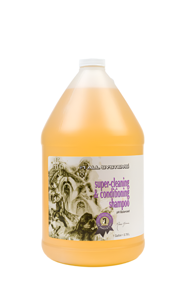 1 Gallon