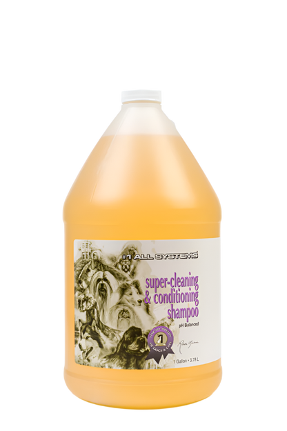 1 Gallon