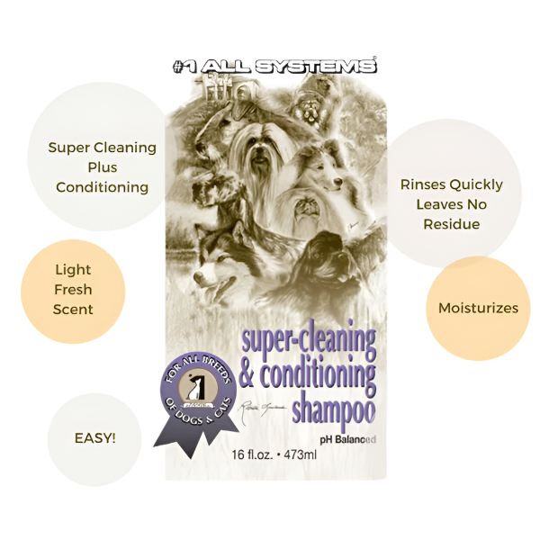 #1 All Systems Super Cleaning and Conditioning