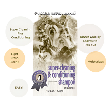 #1 All Systems Super Cleaning and Conditioning