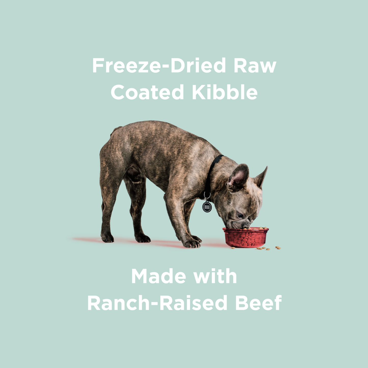 Bixbi Rawbble® Kibble | Beef Recipe