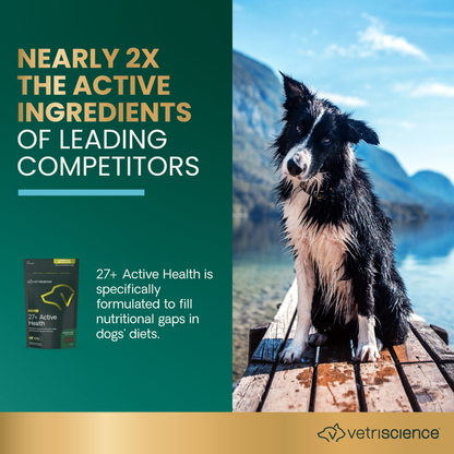 VetriScience 27+ Active Health for Dogs