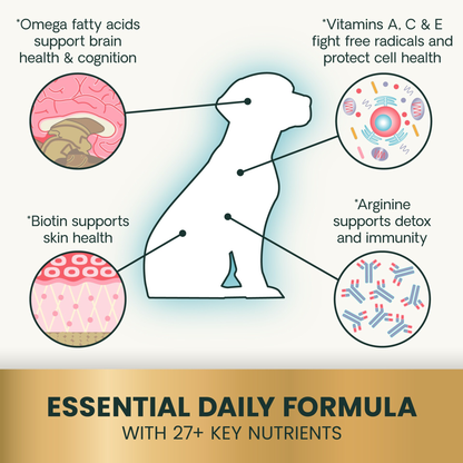 VetriScience 27+ Active Health for Dogs