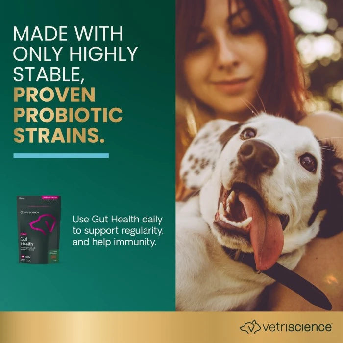 VetriScience Gut Health Chews