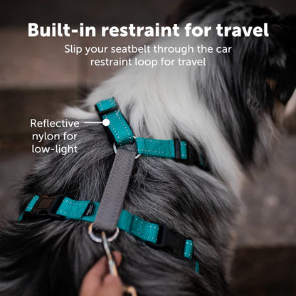 PetSafe Easy Walk® 3 in 1 Harness
