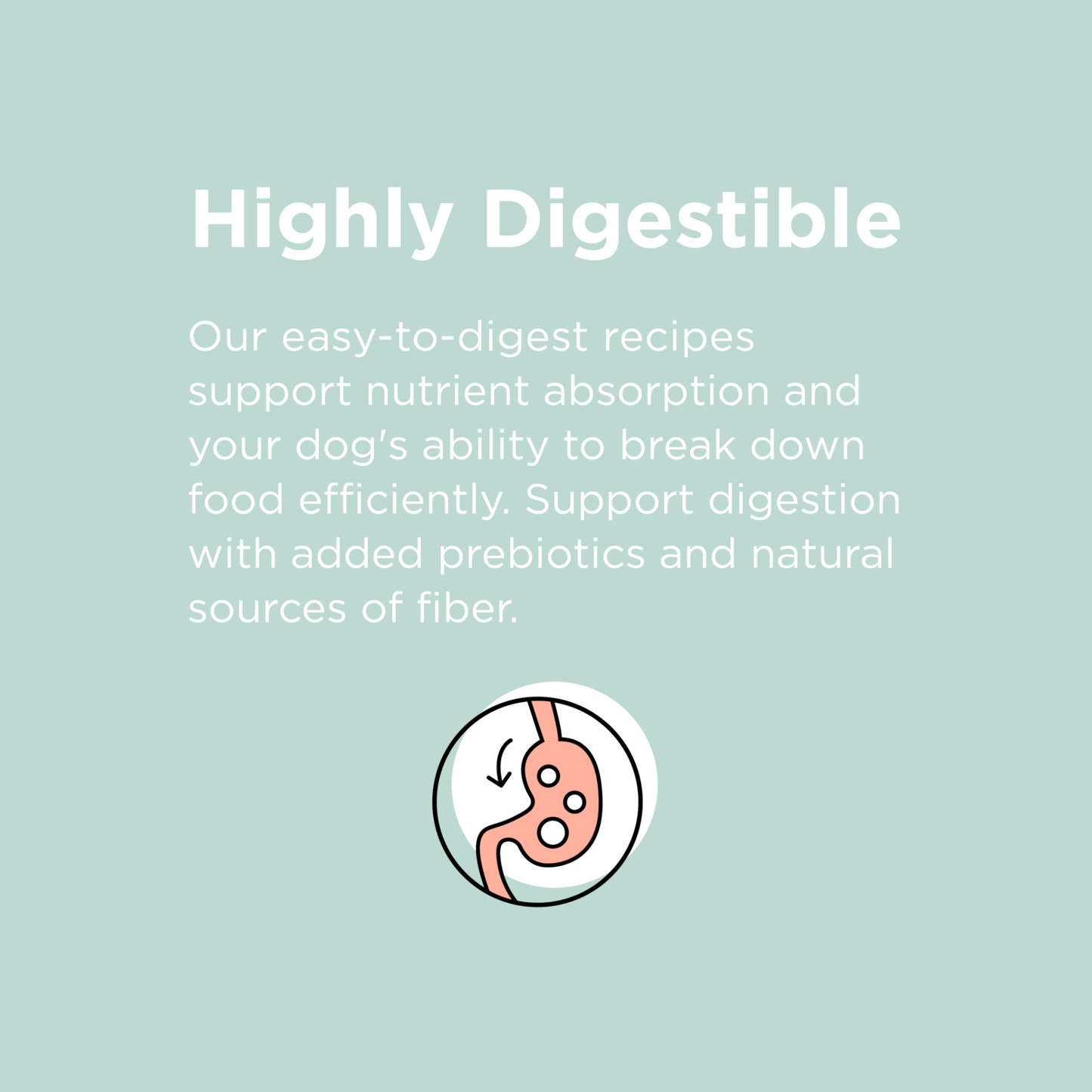 Bixbi Rawbble® Kibble | Beef Recipe