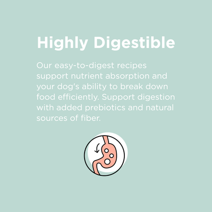 Bixbi Rawbble® Kibble | Beef Recipe