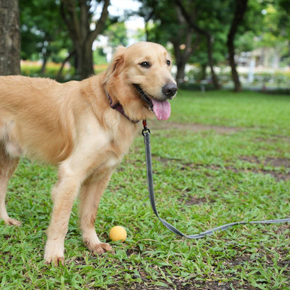 Rubber Grip Reflective Leash