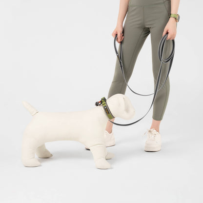 Rubber Grip Reflective Leash
