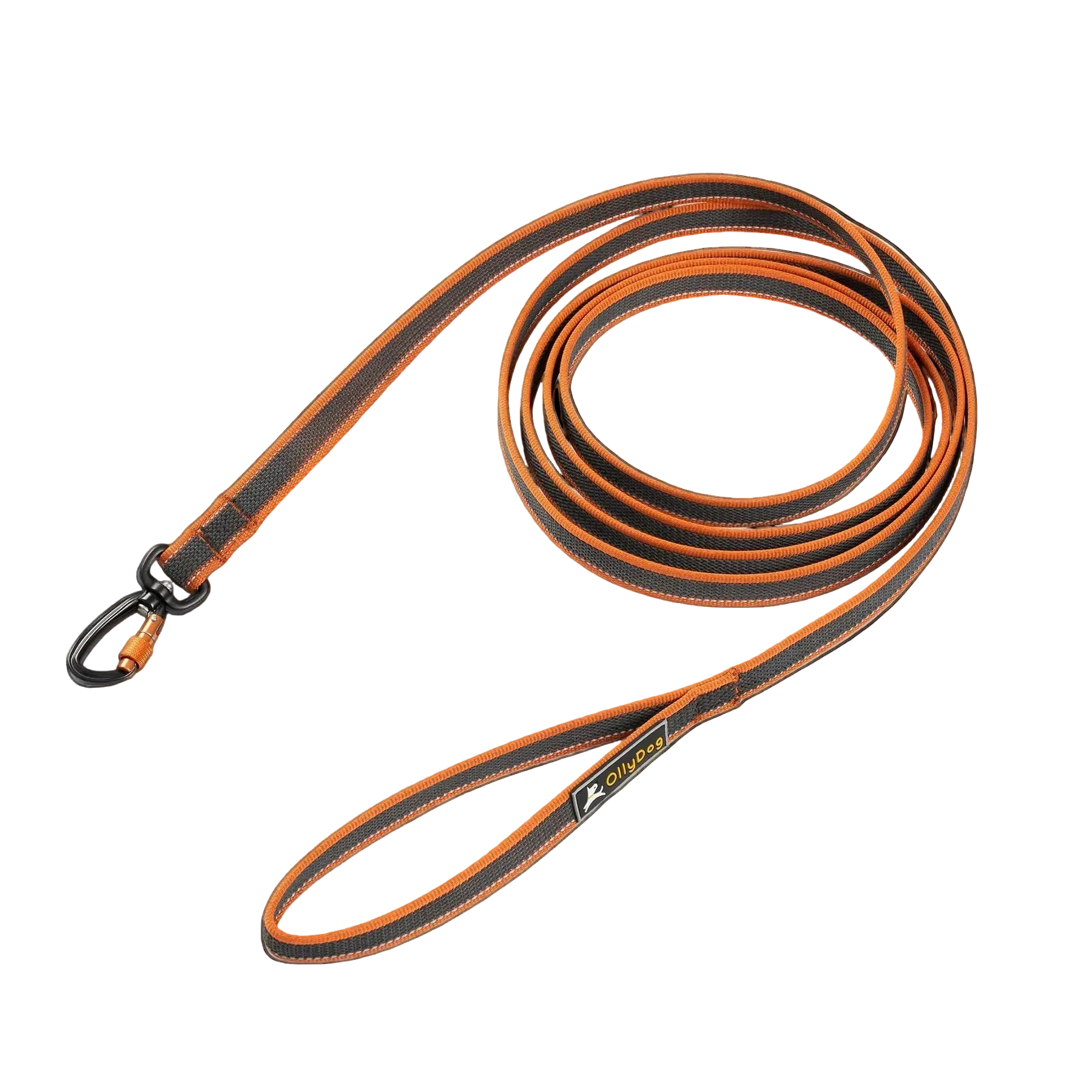 Rubber Grip Reflective Leash
