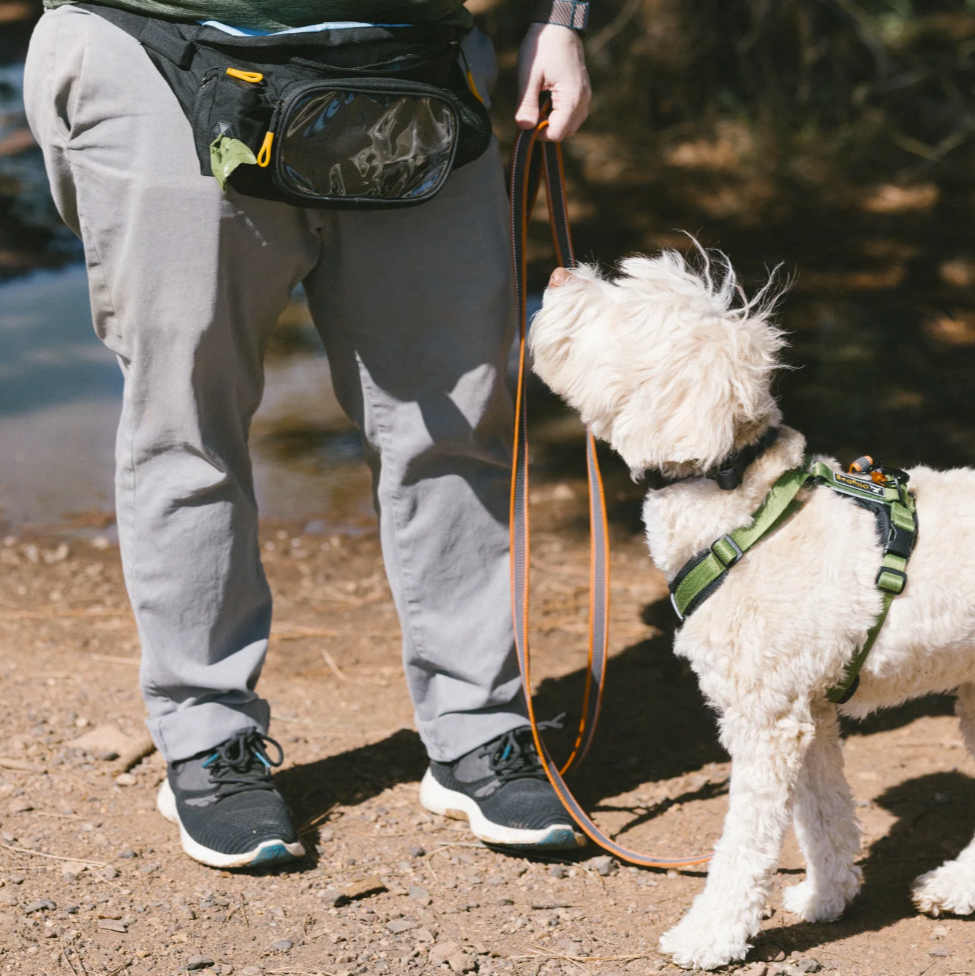 Rubber Grip Reflective Leash