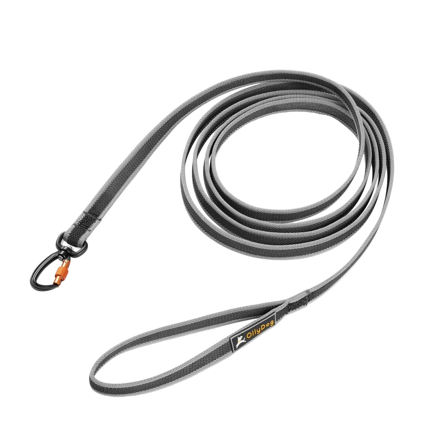Rubber Grip Reflective Leash