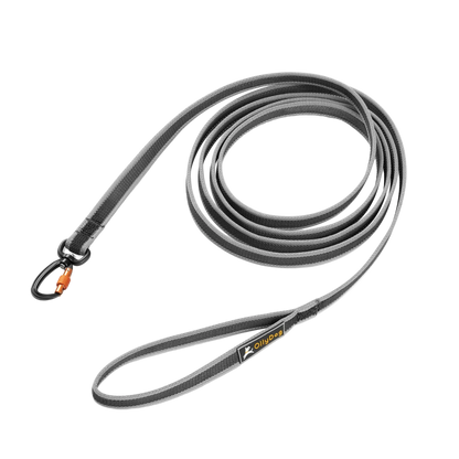 Rubber Grip Reflective Leash
