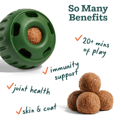 All-In-1 Wellness
