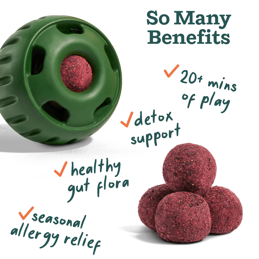 Allergy Support