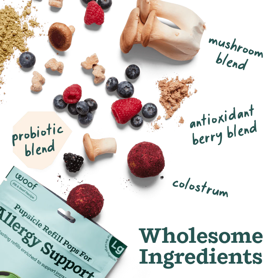 Allergy Support