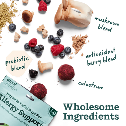 Allergy Support