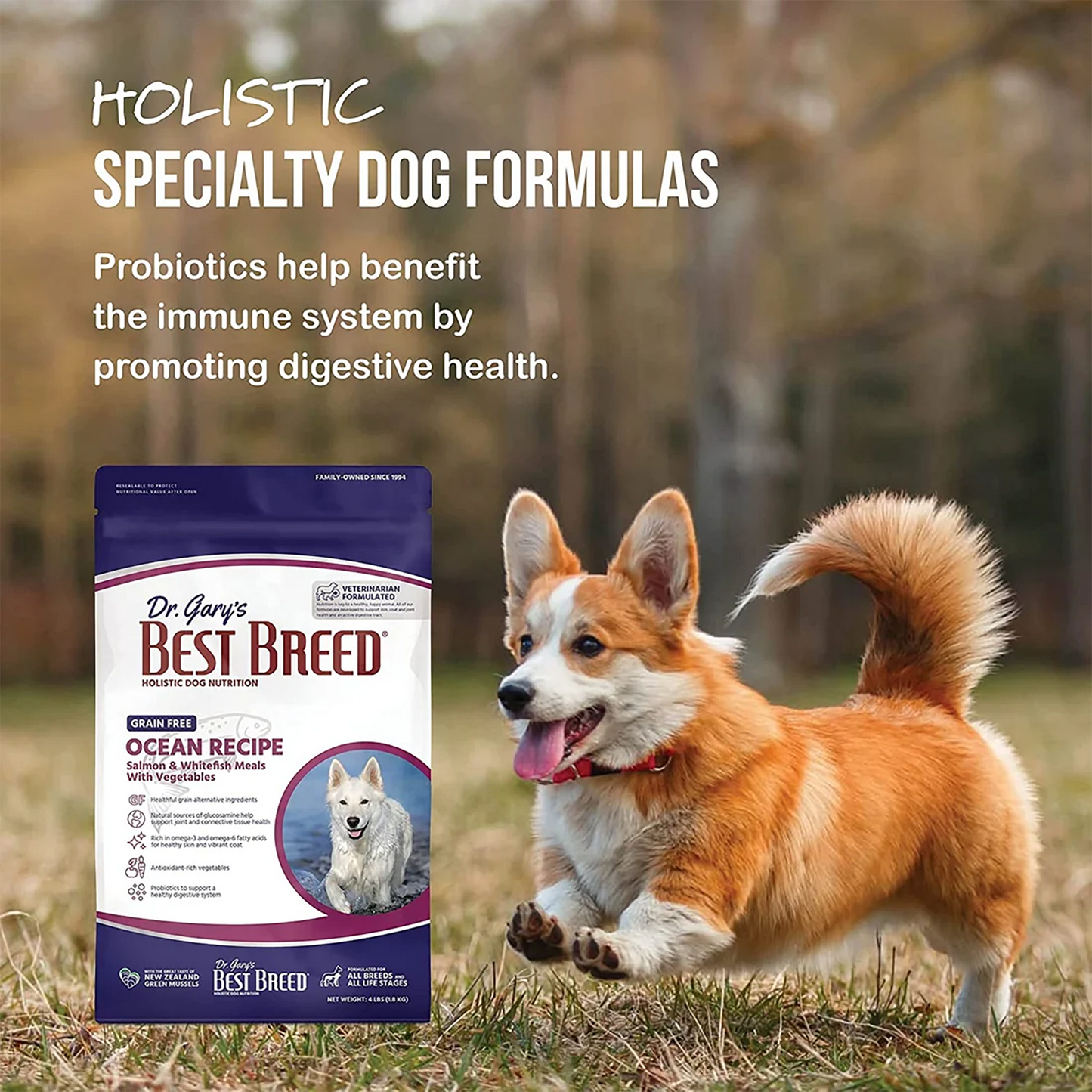 Dr. Gary's Best Breed Ocean Recipe Dry Dog Food