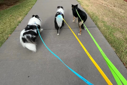 BioThane Snap Leash (6')