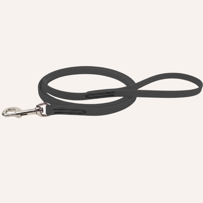 BioThane Snap Leash (6')