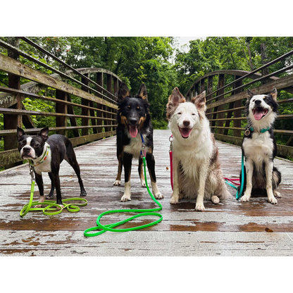 BioThane Snap Leash (6')