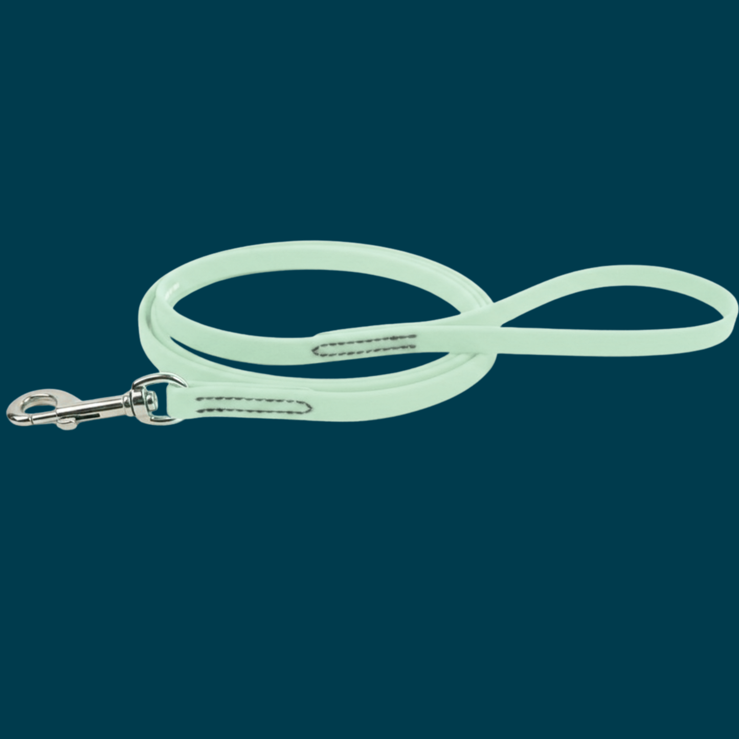 BioThane Snap Leash (6')