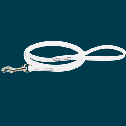 BioThane Snap Leash (6')