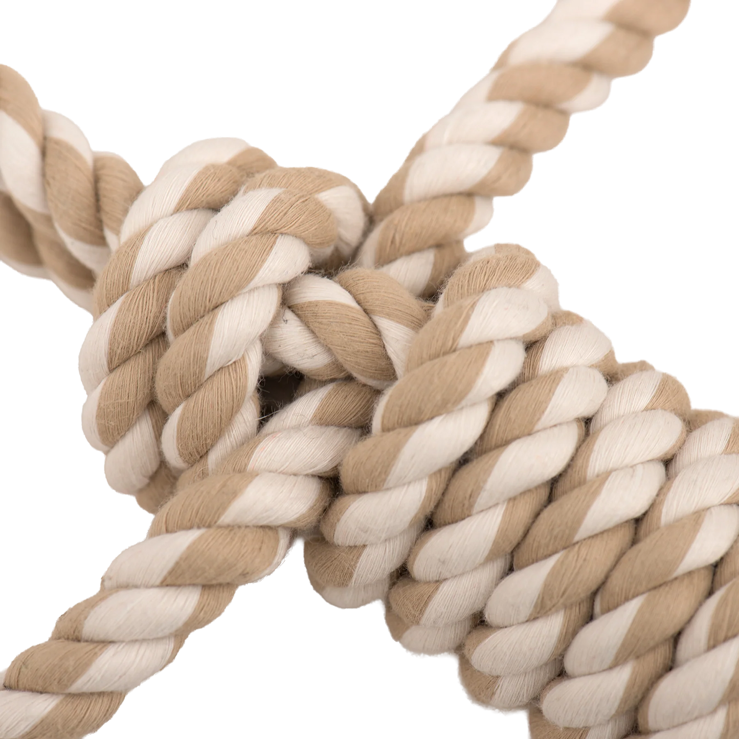 Birch Bunny X-Brace™ Plush Dog Toy