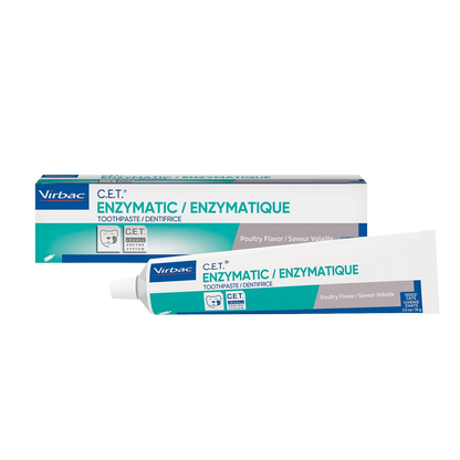 Enzymatic Toothpaste