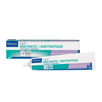 Enzymatic Toothpaste