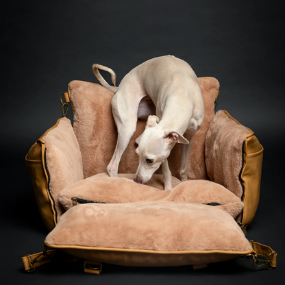 Noah & Paw Vegan Leather Dog Car Seat