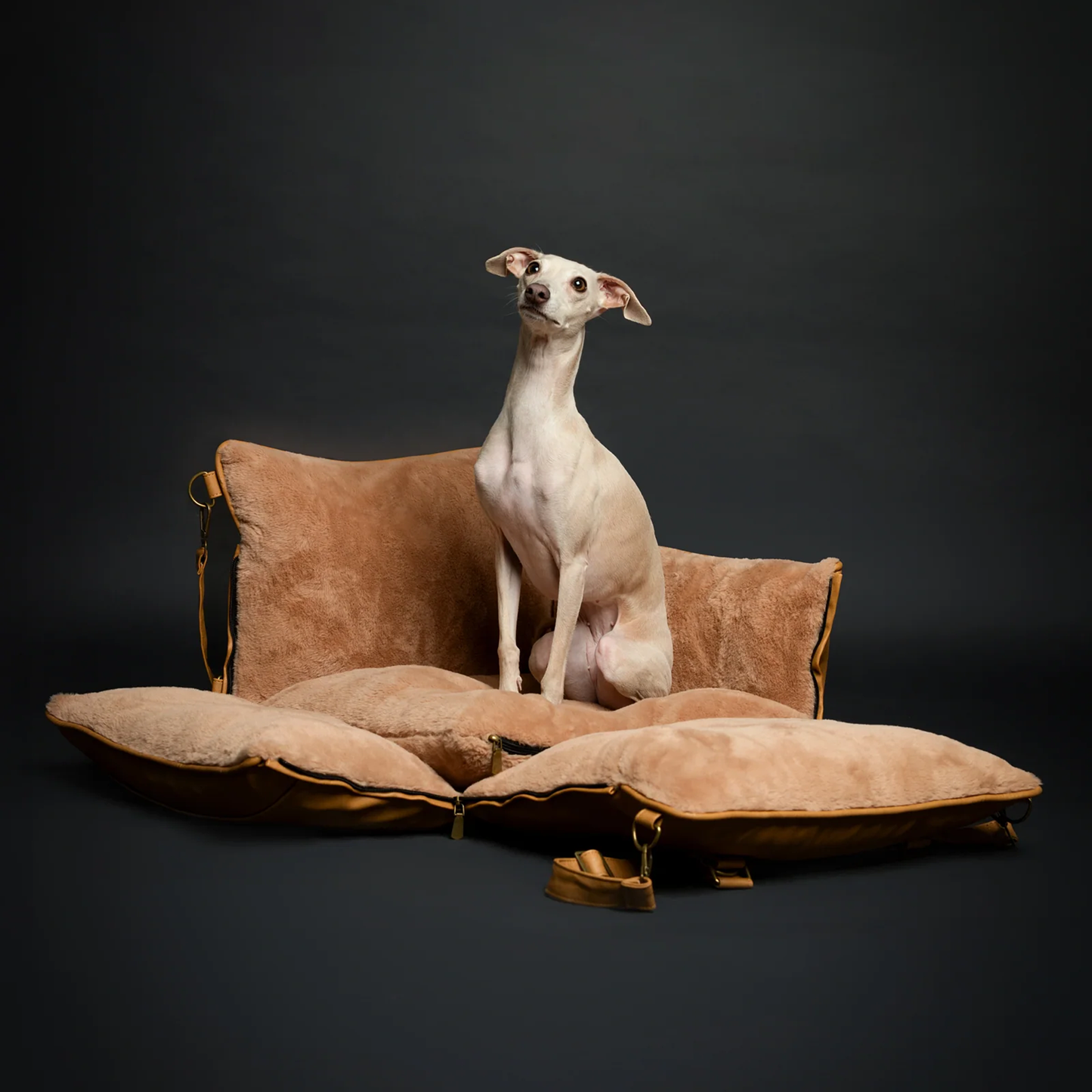 Noah & Paw Vegan Leather Dog Car Seat