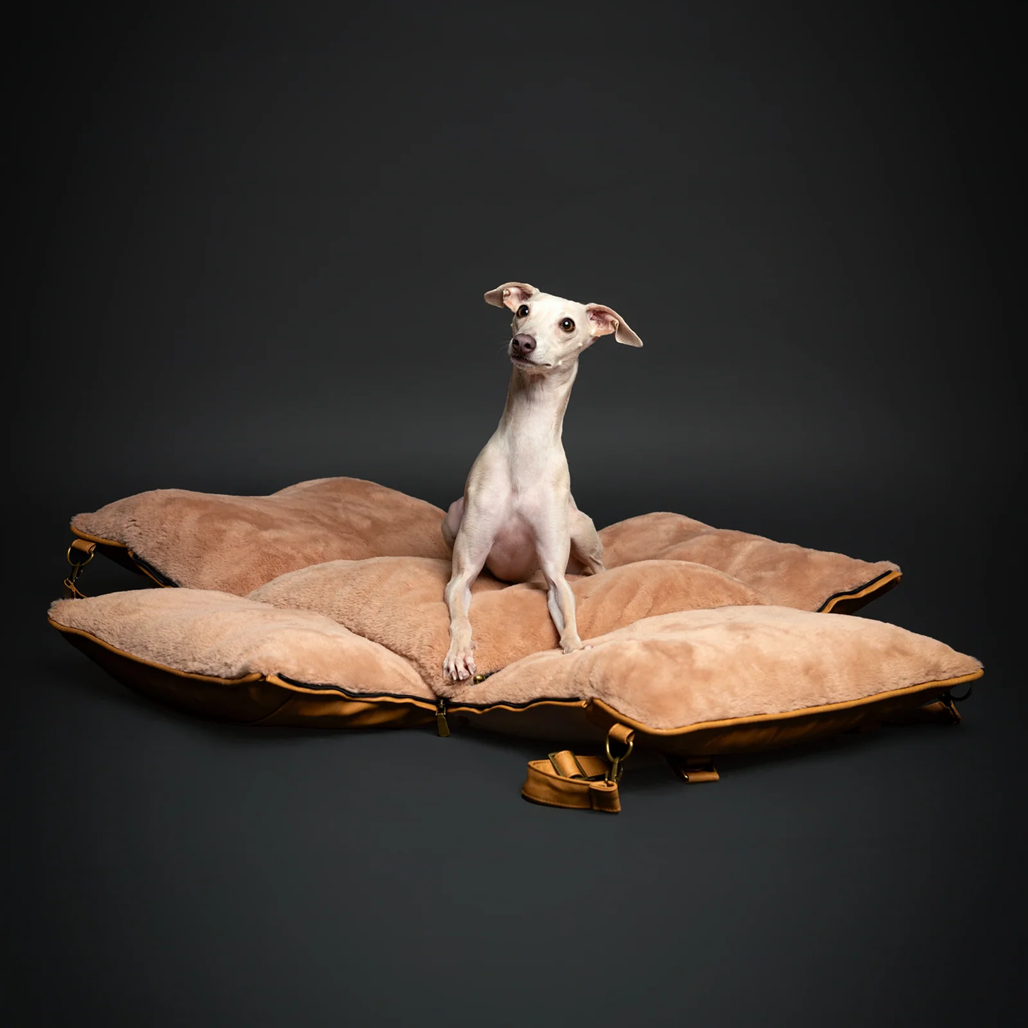 Noah & Paw Vegan Leather Dog Car Seat