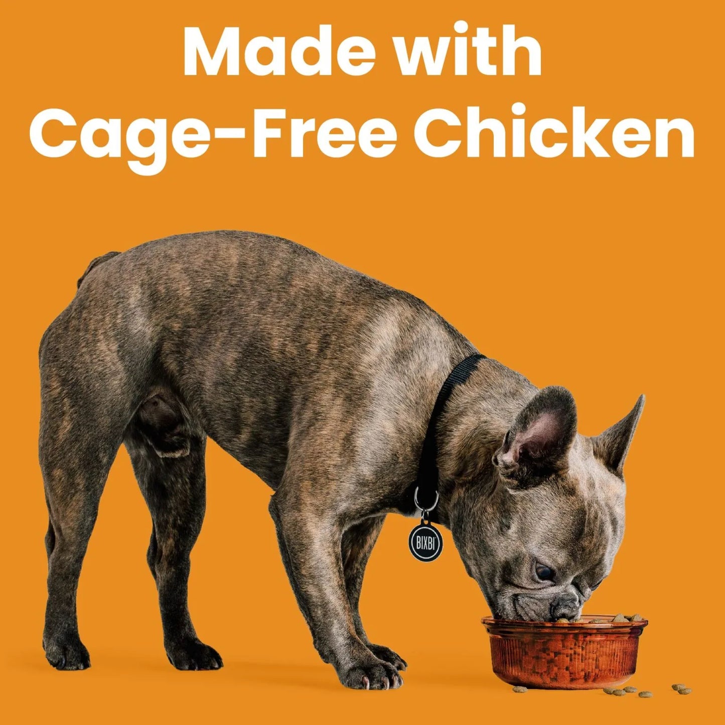 Bixbi Rawbble® Kibble | Chicken Recipe