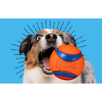 Chuckit! Medium Ball 2-Pack