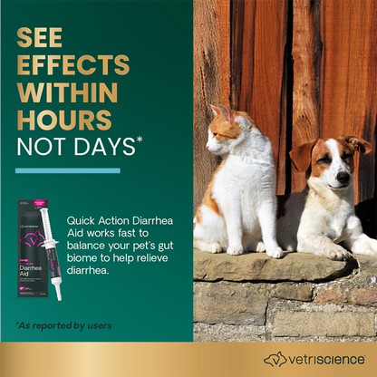 Quick Action Diarrhea Aid - 35cc