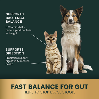 Quick Action Diarrhea Aid - 35cc