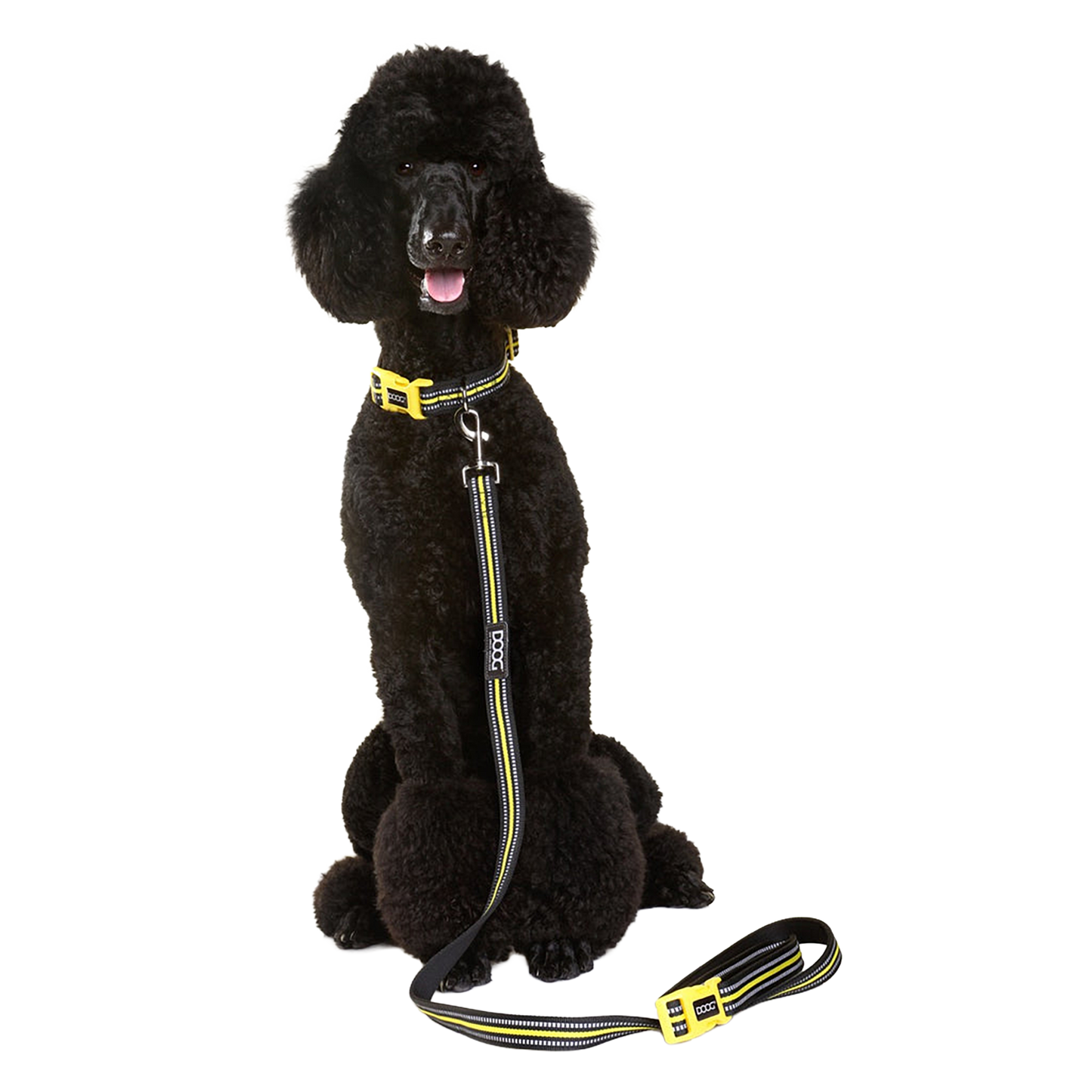 Neoprene Dog Leash