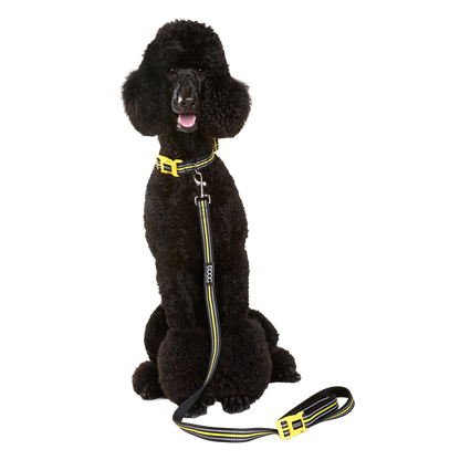 Neoprene Dog Leash